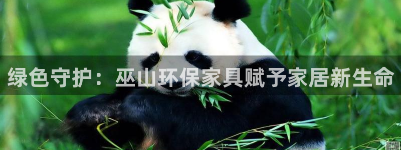 杏耀平台服务中心是干嘛的