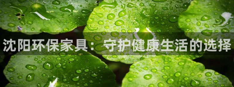 杏耀平台还在吗