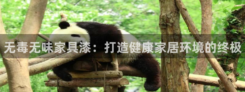 杏耀软件