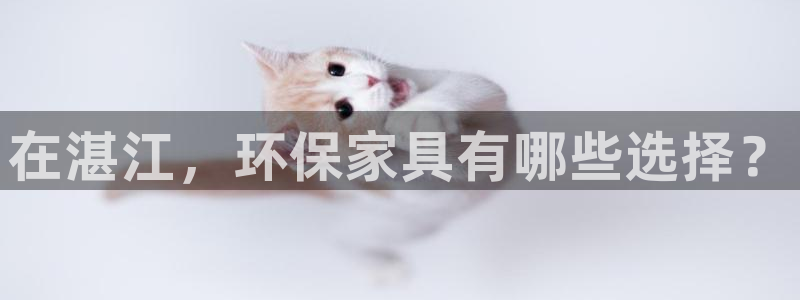 杏耀软件