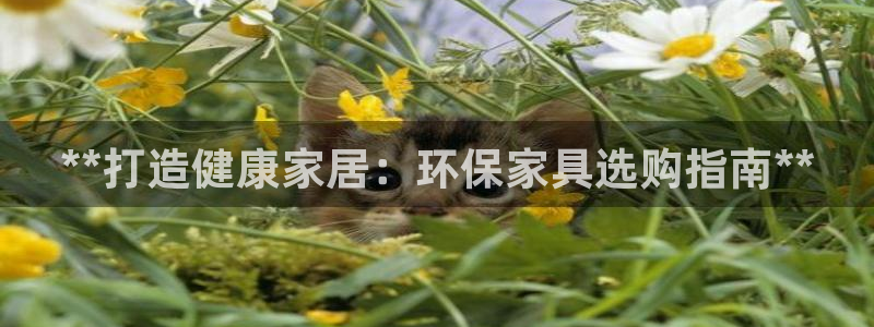 杏耀平台代理
