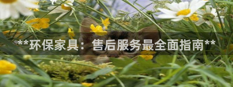 杏耀平台娱乐