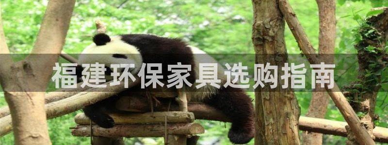杏耀开户app下载