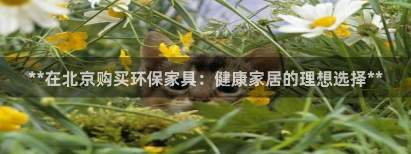 杏耀是什么平台
