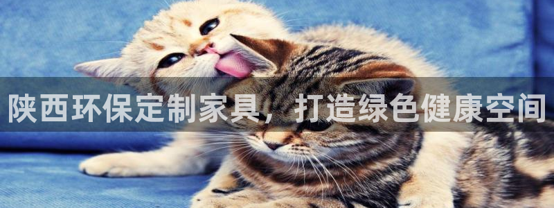 杏耀平台代理怎么赚钱快