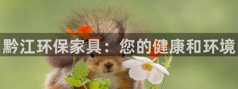 杏耀平台怎么注册