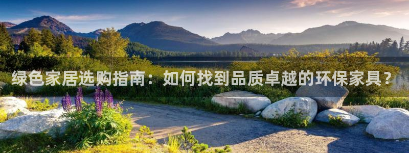 杏耀测速登录地址