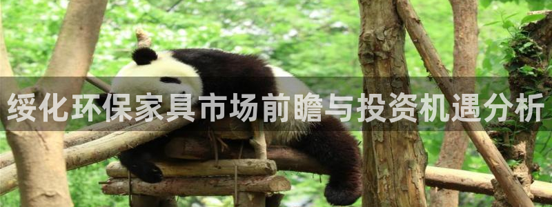 杏耀平台测速地址：绥化环保家具市场前瞻与投资机遇分析