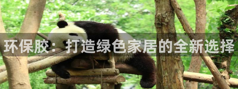 杏耀平台代理怎么赚钱快