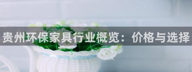杏耀平台到底能玩吗：贵州环保家具行业概览：价格与选择