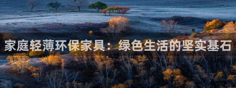 杏耀总代：家庭轻薄环保家具：绿色生活的坚实基石