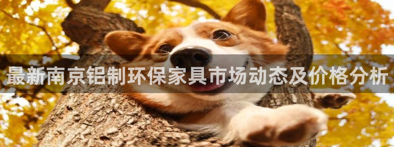 杏耀平台还在吗