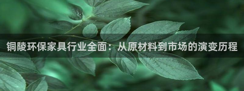 杏耀官网登录：铜陵环保家具行业全面：从原材料到市场的演变历程