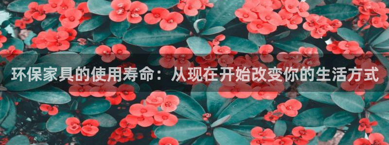 杏耀平台招商的流程：环保家具的使用寿命：从现在开始改变你的生