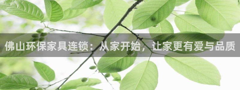 杏耀官网登录：佛山环保家具连锁：从家开始，让家更有爱与品质