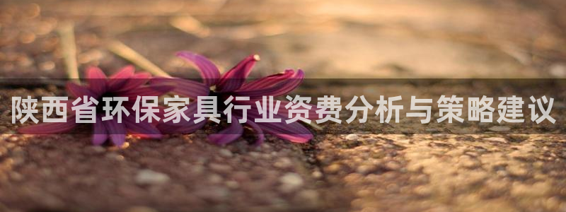 杏耀平台线路测试：陕西省环保家具行业资费分析与策略建议
