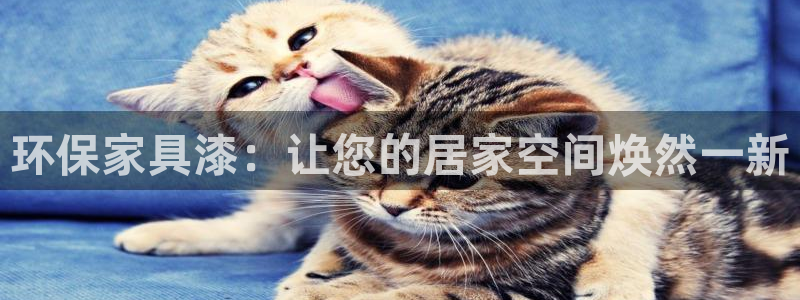 杏耀注册主管：环保家具漆：让您的居家空间焕然一新