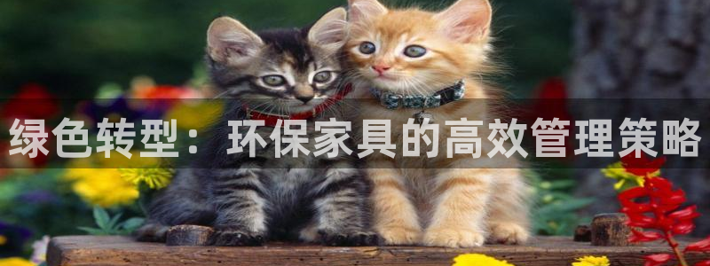 杏耀官网客服：绿色转型：环保家具的高效管理策略