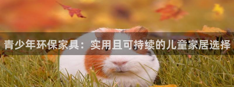 杏耀软件