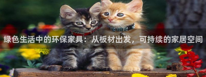 杏耀平台登录方式：绿色生活中的环保家具：从板材出发，可持续的
