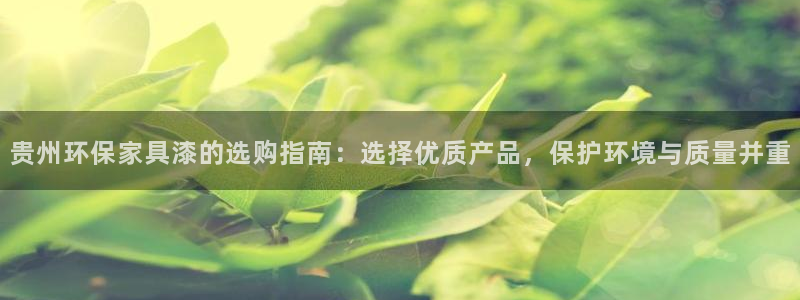 杏耀官网注册：贵州环保家具漆的选购指南：选择优质产品，保护环