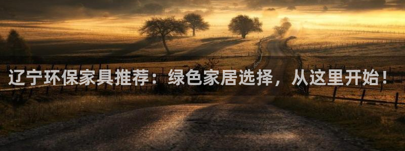 杏耀平台首页登录：辽宁环保家具推荐：绿色家居选择，从这里开始
