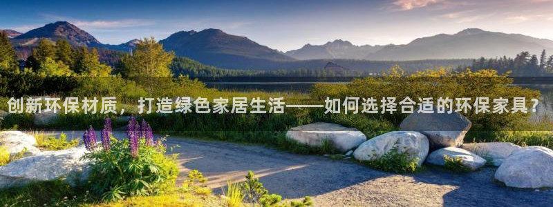 杏耀测速网址电脑版