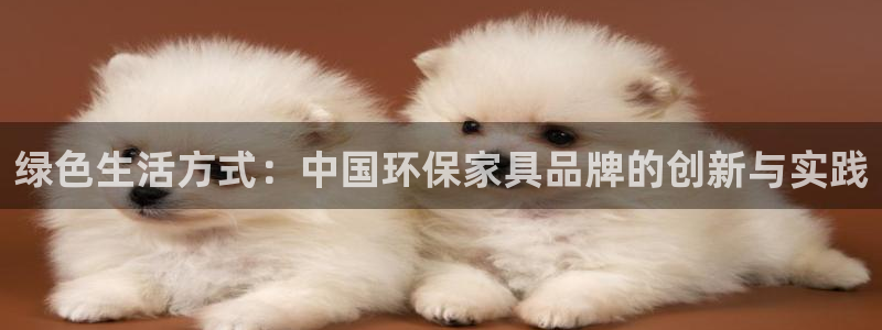杏耀平台服务中心怎么样：绿色生活方式：中国环保家具品牌的创新
