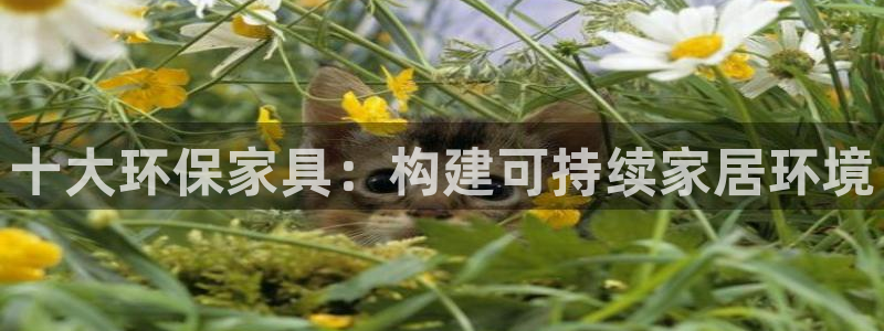 杏耀官方注册中心