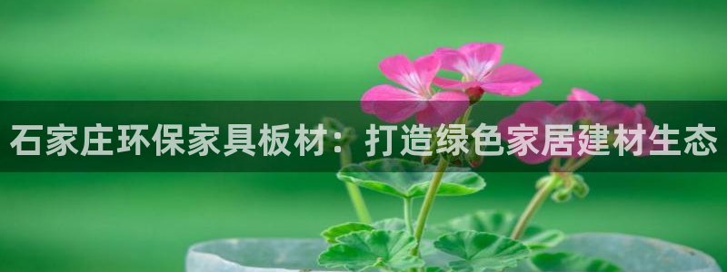 杏耀平台登录入口