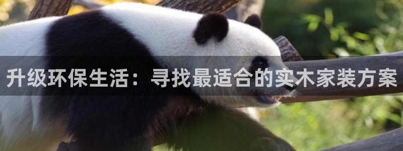 杏耀注册网址