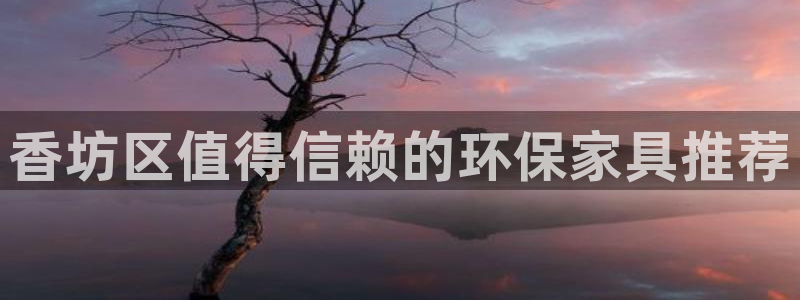 杏耀登录网页：香坊区值得信赖的环保家具推荐