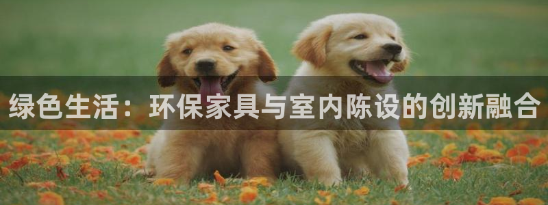 杏耀注册主管：绿色生活：环保家具与室内陈设的创新融合