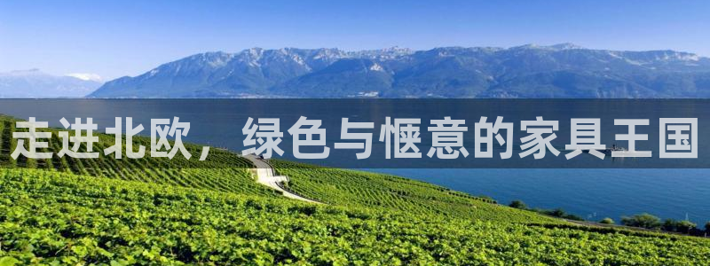 杏耀平台登录网址是什么