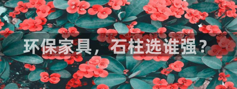 杏耀注册登录测速