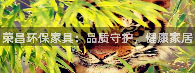 杏耀平台怎么样?：荣昌环保家具：品质守护，健康家居