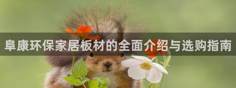 杏耀平台测速登录