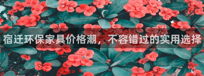 杏耀注册登录平台：宿迁环保家具价格潮，不容错过的实用选择