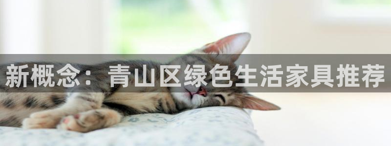 杏耀官网网站：新概念：青山区绿色生活家具推荐