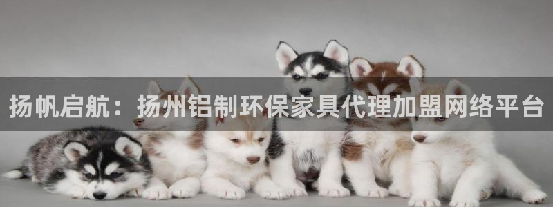 杏耀平台客户端