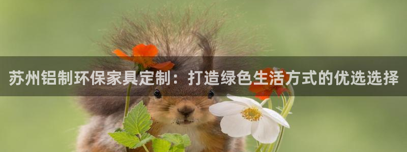 杏耀平台登录网站：苏州铝制环保家具定制：打造绿色生活方式的优
