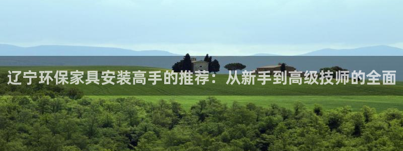 杏耀平台注册登录：辽宁环保家具安装高手的推荐：从新手到高级技