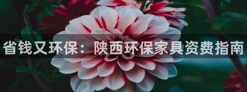 杏耀总代：省钱又环保：陕西环保家具资费指南