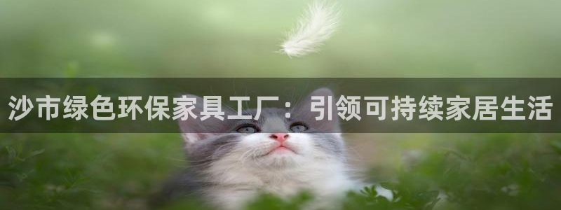 杏耀平台登录检测：沙市绿色环保家具工厂：引领可持续家居生活