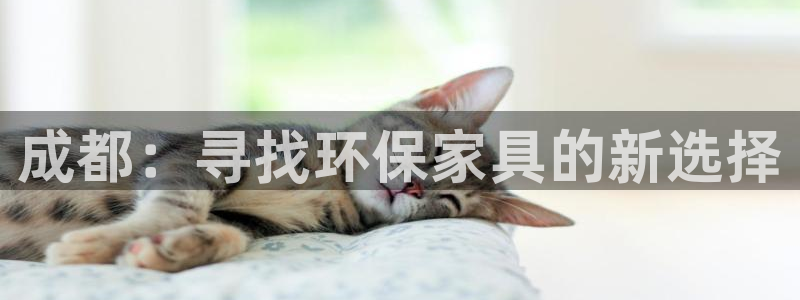 杏耀平台代理怎么赚钱的