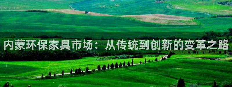 杏耀平台注册入口：内蒙环保家具市场：从传统到创新的变革之路