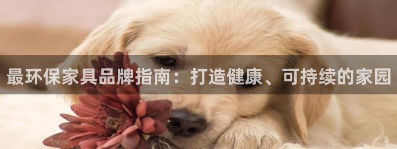 杏耀代理注册：最环保家具品牌指南：打造健康、可持续的家园