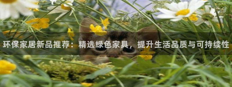 杏耀平台专用通道：环保家居新品推荐：精选绿色家具，提升生活品