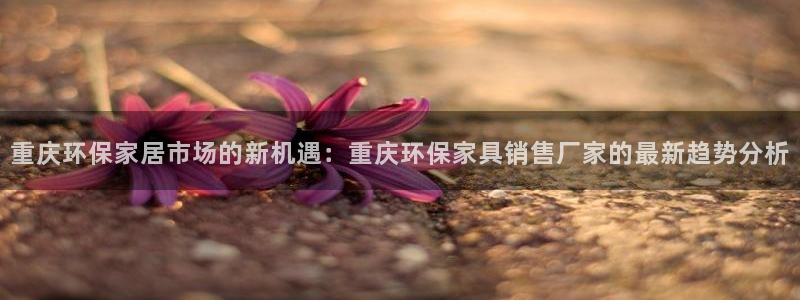 杏耀注册代理：重庆环保家居市场的新机遇：重庆环保家具销售厂家