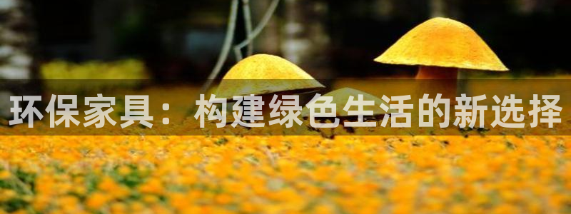 杏耀平台官方网站下载：环保家具：构建绿色生活的新选择